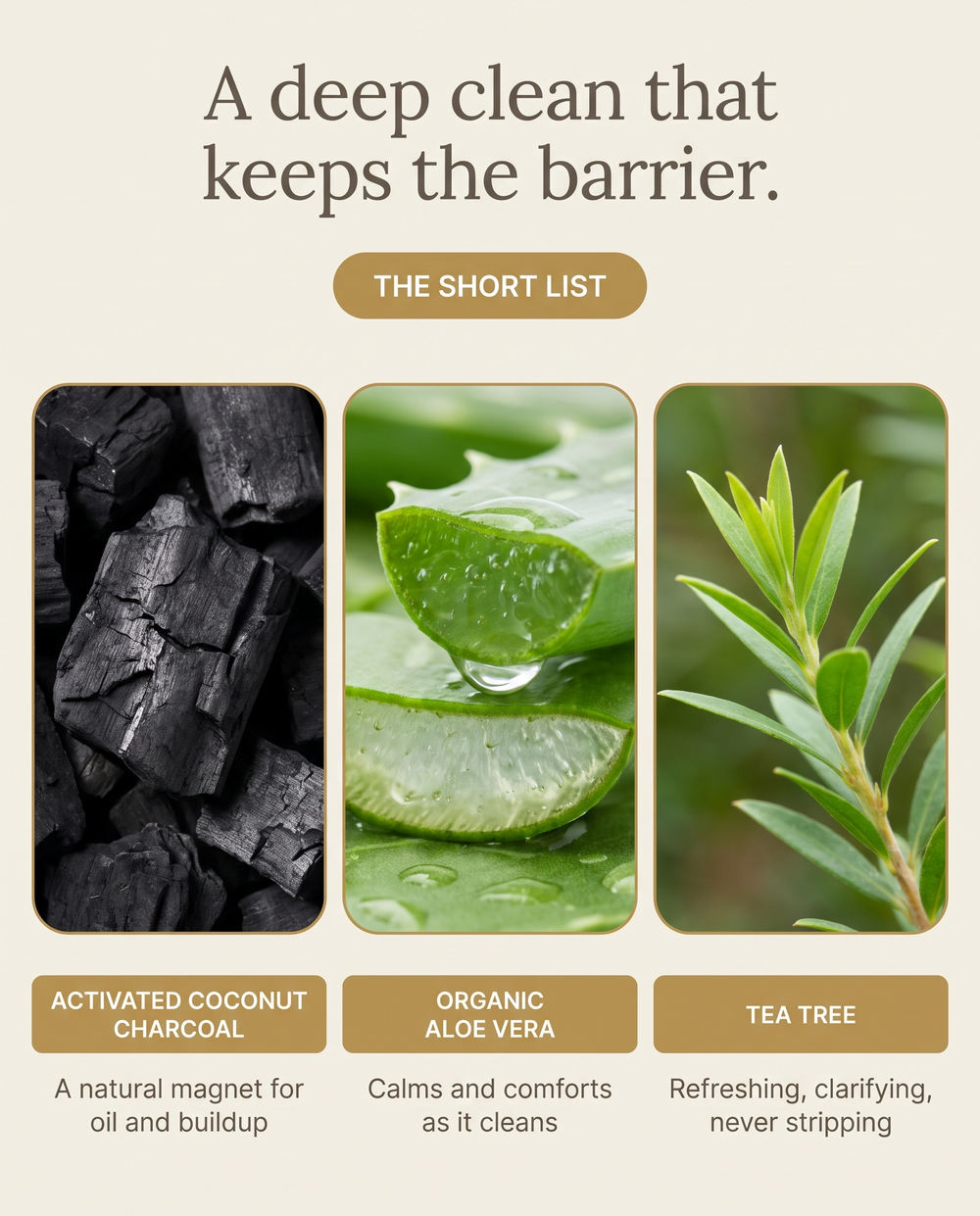 Aloe Charcoal Facial Cleanser
