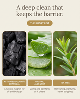 Aloe Charcoal Facial Cleanser