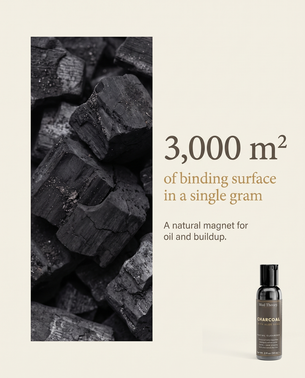 Aloe Charcoal Facial Cleanser