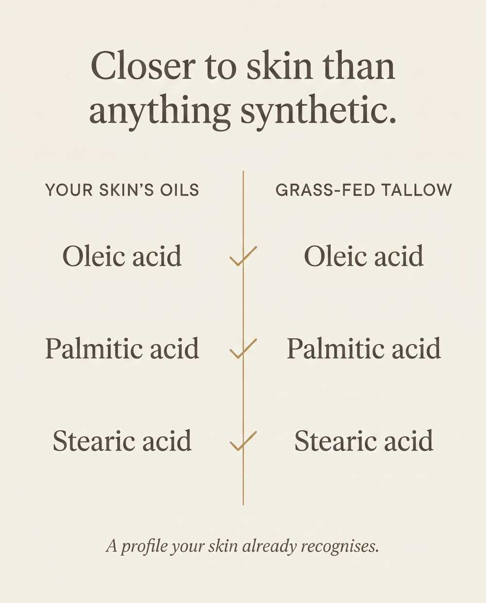 Tallow Moisturizer